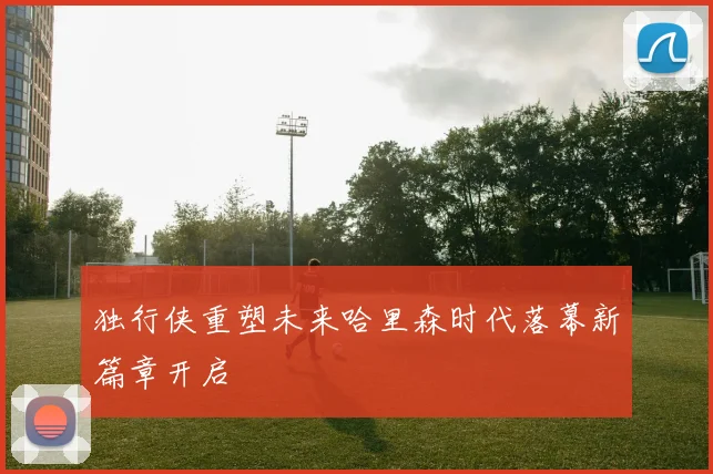 独行侠重塑未来哈里森时代落幕新篇章开启