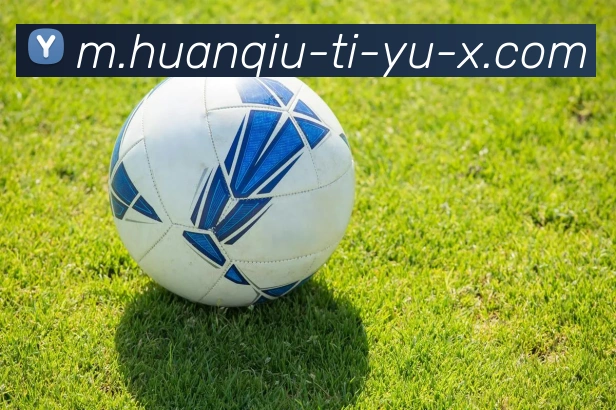 企业概况